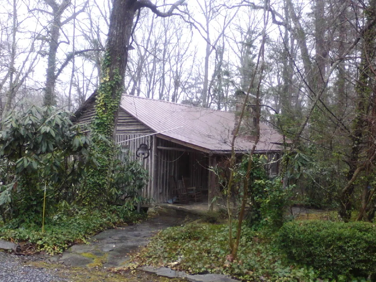 Weathered metal roof on an old board sided cabin in the woods in Mentone